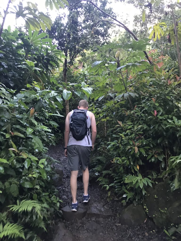 Hiking-Manoa-Falls
