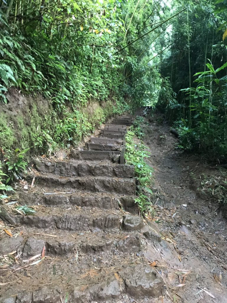 Muddy-Trail