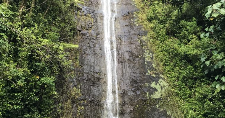 Manoa Falls Trail Tips
