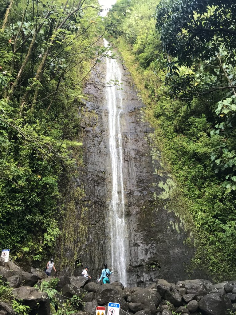 Manoa-Falls-Waterfall