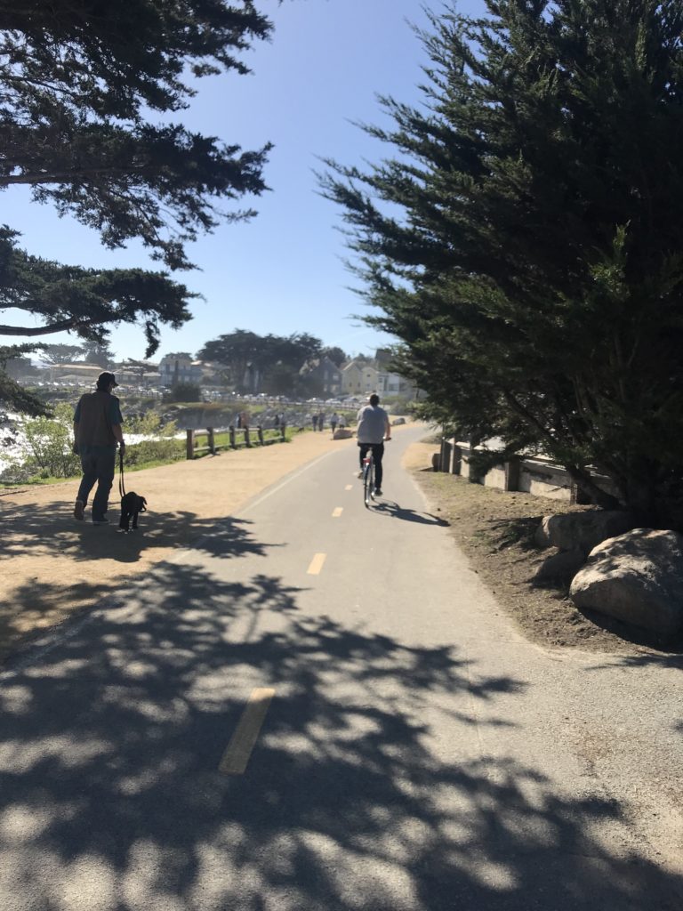 Monterey-Bay-Coast