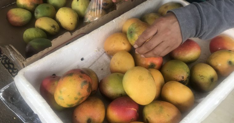 15 Fresh, Local Kauai Farmers Markets