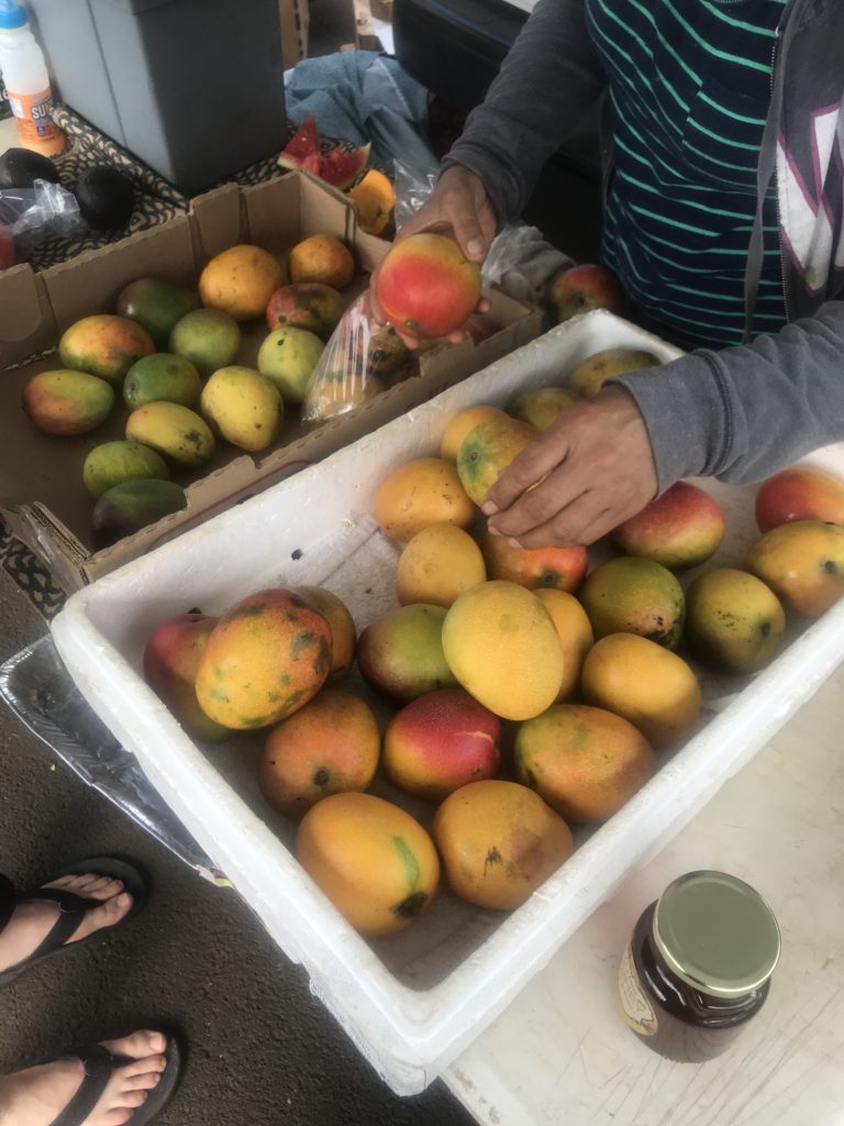Farmers-Market-Mangoes
