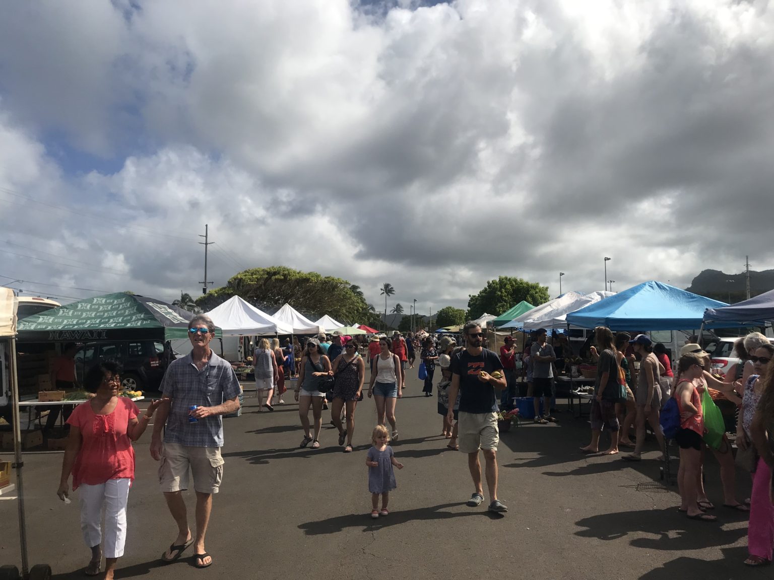 15 Fresh, Local Kauai Farmers Markets